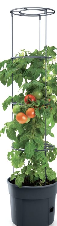 doniczka do pomidorw .jpg