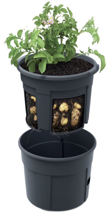 Zrzut ekranu 2020-10-31 o 00.22.00.png