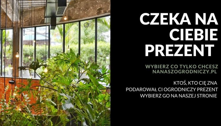 bon-prezentowy-karta-naszogrodniczy 2.jpg