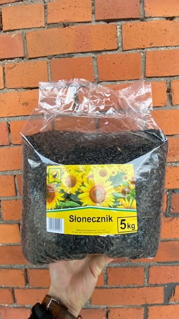 słonecznik dla ptakow8.jpg