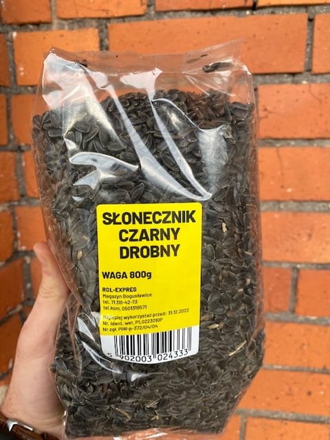 słonecznik dla ptakow6.jpg