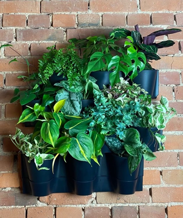 doniczki na zielona ściane (4).jpg