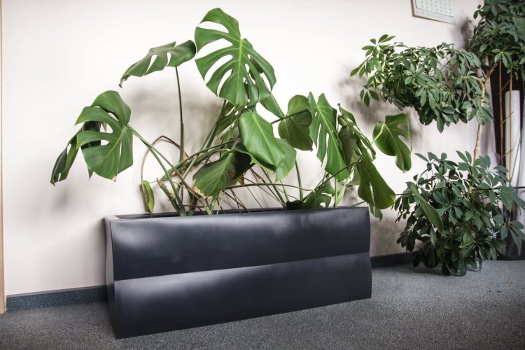 duża donica ogrodowa nyx skrzynia 15.jpg