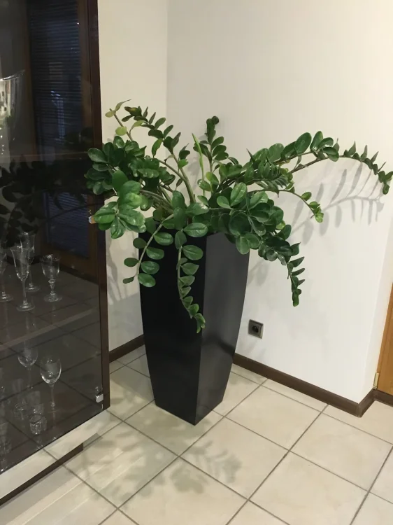 duża donica ogrodowa Juno 66.jpg