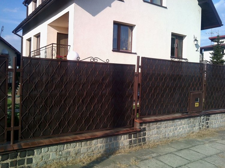 mata na płocie2.jpg