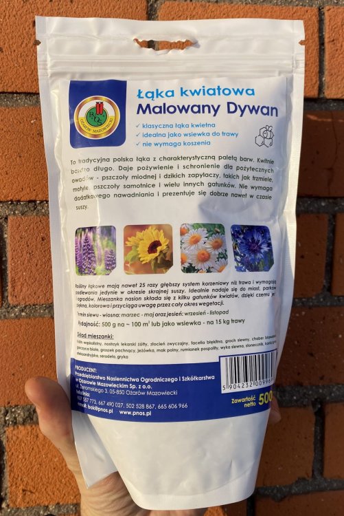 kwiaty na łąkę kwietną 6.jpeg