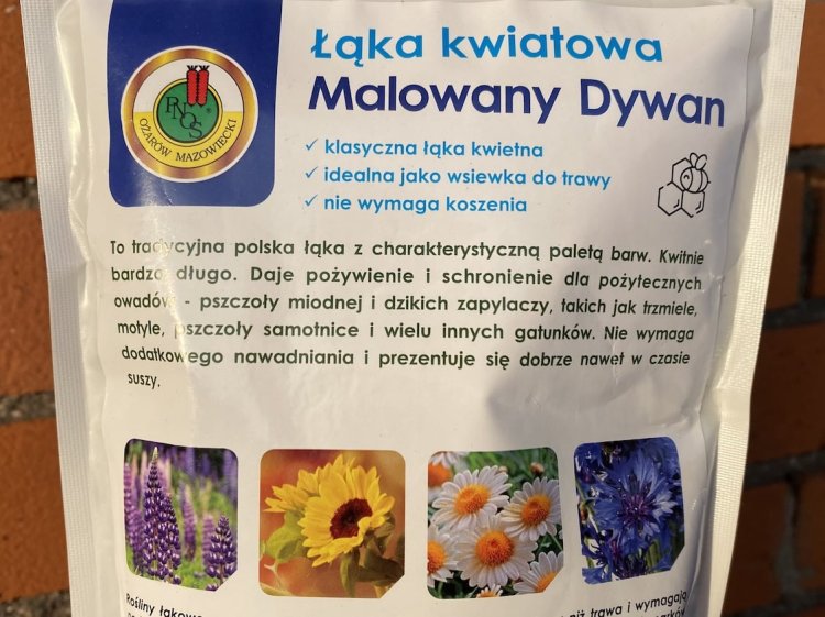 kwiaty na łąkę kwietną 8.jpeg