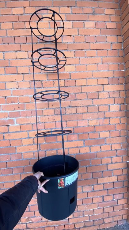 doniczka na pomidory 1.jpeg