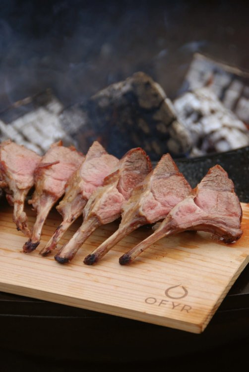 ofry grill palenisko158.jpg