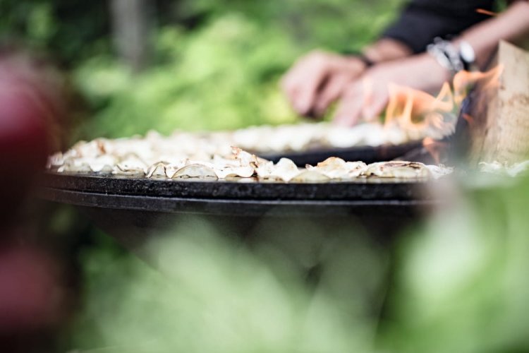 ofry grill palenisko33.jpg