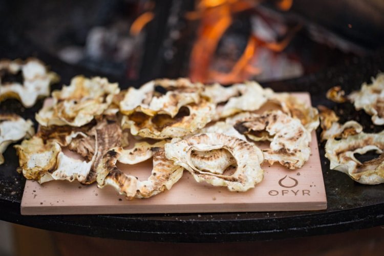 ofry grill palenisko34.jpg