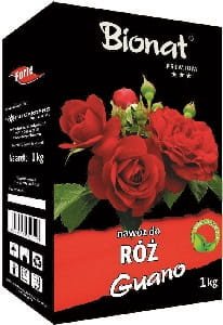 tn_RÓŻA-94