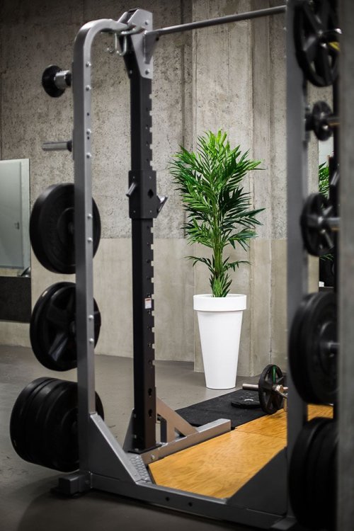 biala-duza-donica-pons 3.jpg