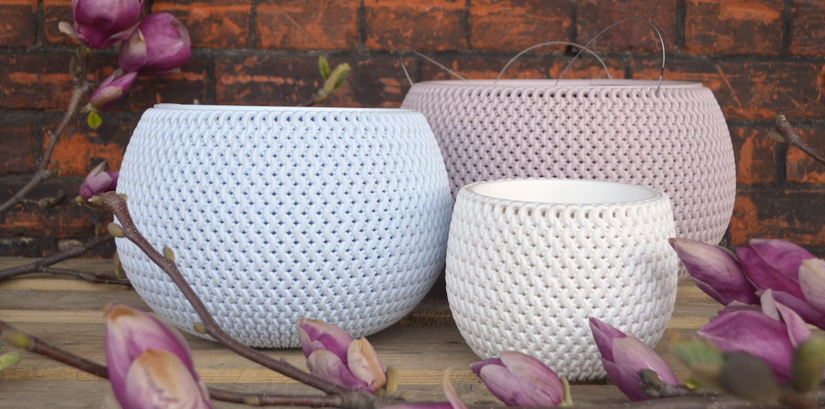 rośliny na balkon - od czego zacząć 