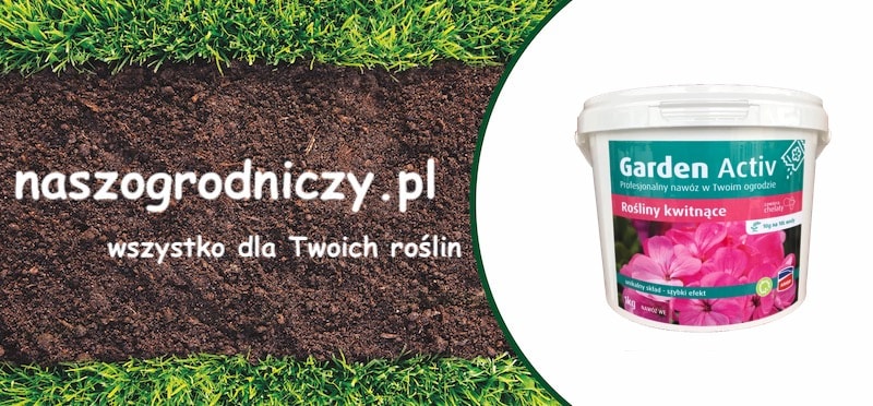 nawóz do kwiatów kwitnących