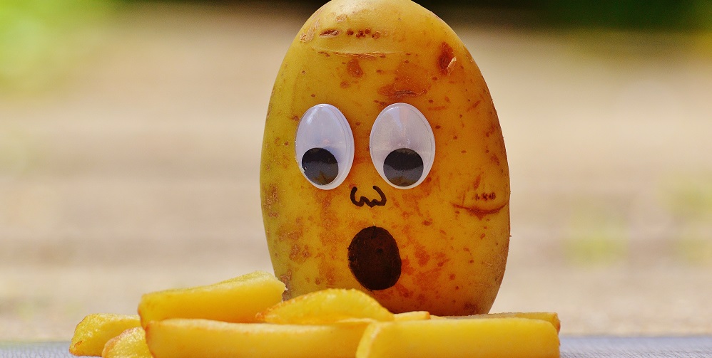 ziemniaki do sadzenia 