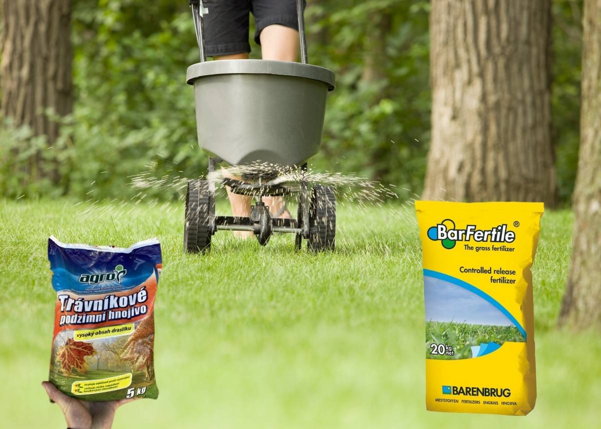 jaki nawóz jesienny do trawy wybrać najlepsze nawozy do trawy