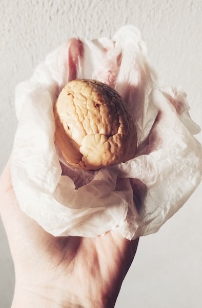 jak wyhodować avocado z pestki