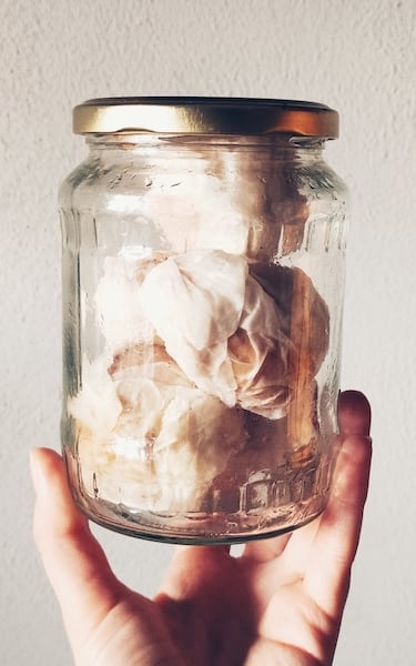 jak wyhodować avocado z pestki