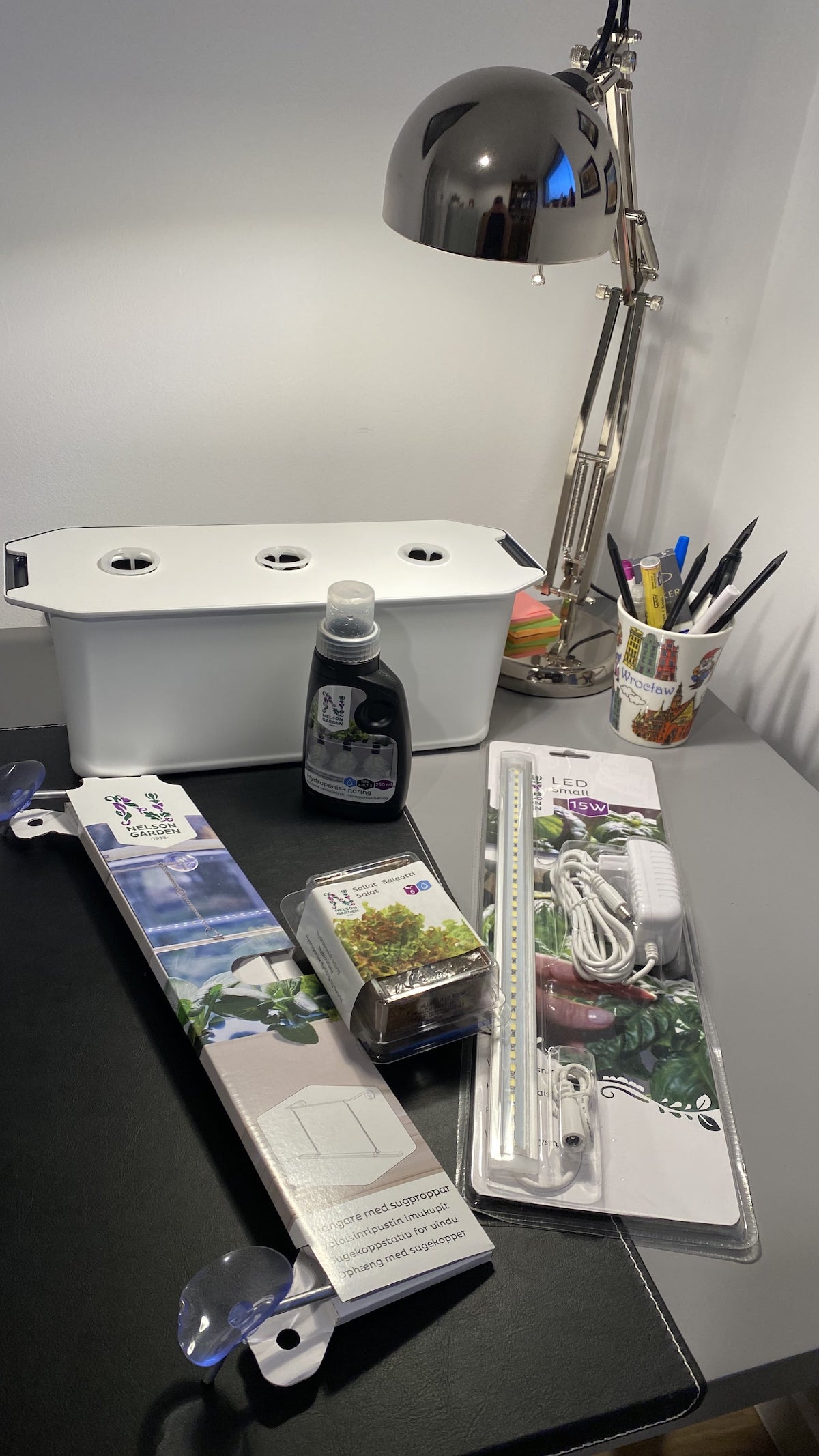 uprawa hydroponiczna w domu