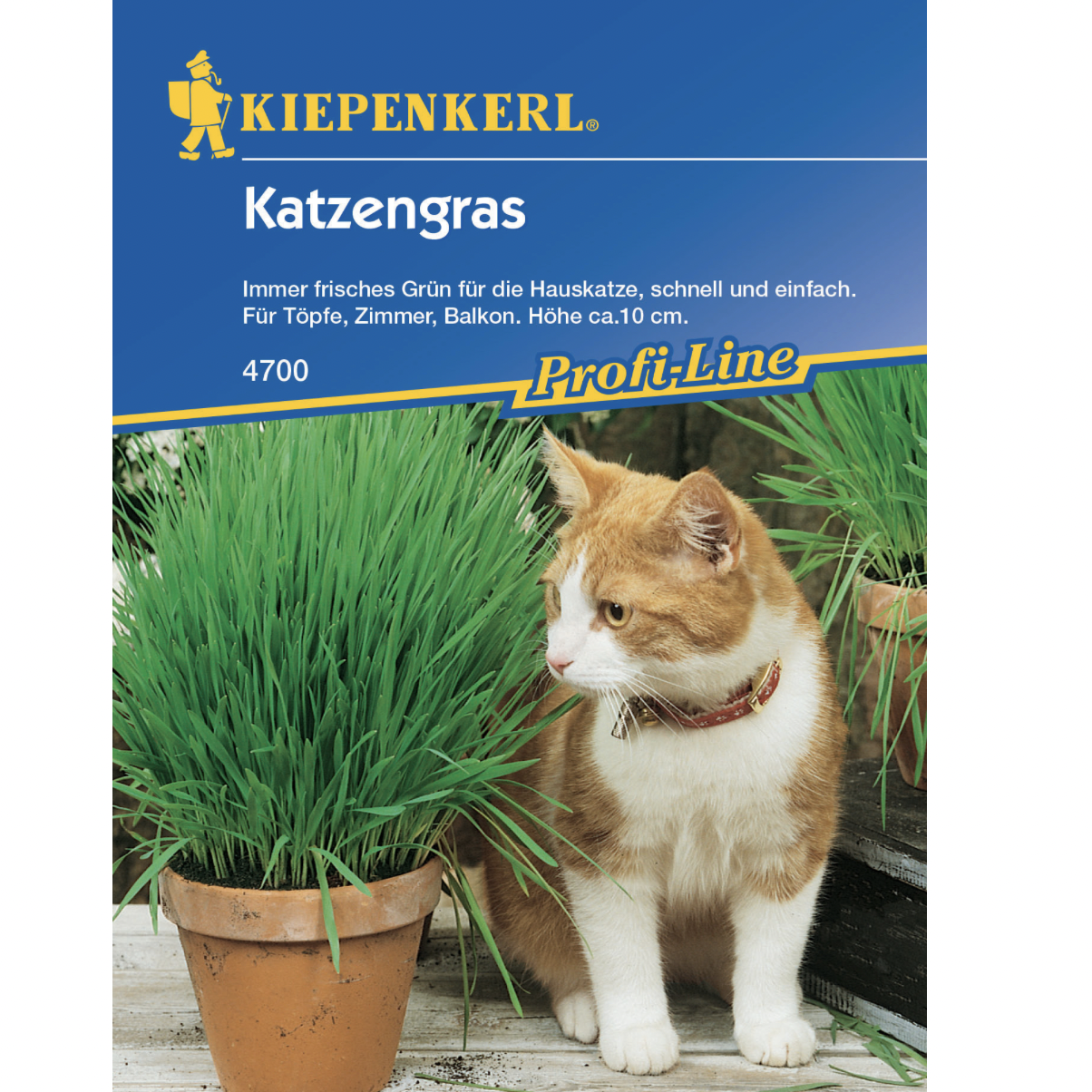 Trawa dla kota Kiepenkerl