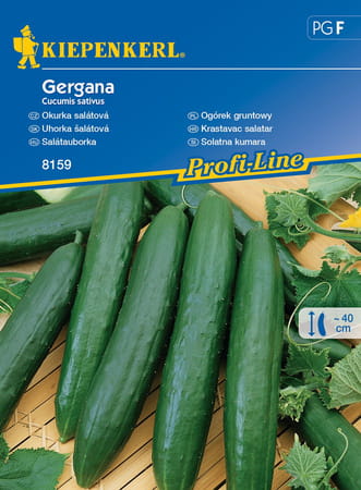 Ogórek gruntowy "Gergana" Kiepenkerl