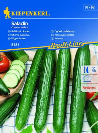 Ogórek sałatkowy "Saladin" Kiepenkerl