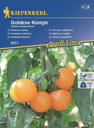 Pomidor sałatkowy "Goldene Königin" Kiepenkerl