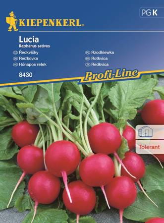 Rzodkiewka "Lucia" Kiepenkerl