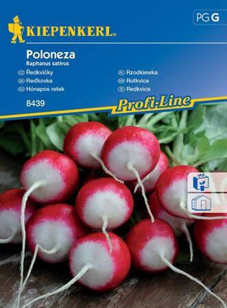 Rzodkiewka "Poloneza" Kiepenkerl