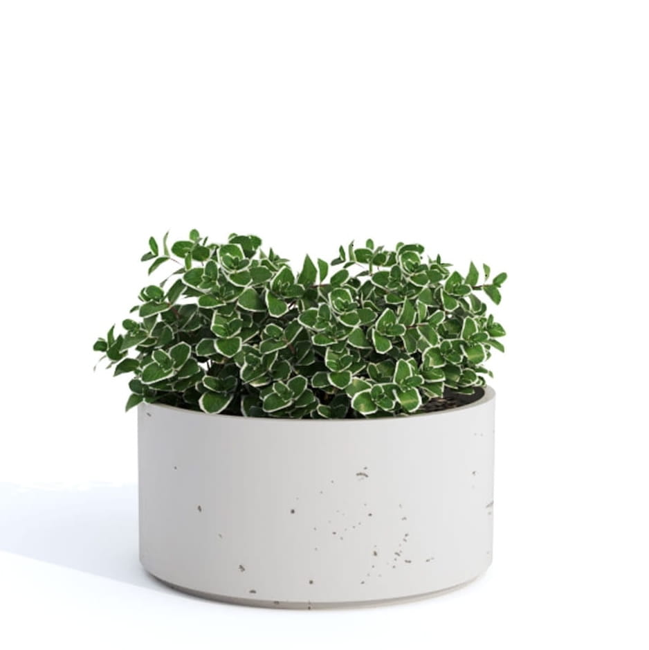 Donica betonowa SIRKEL 50x25h M