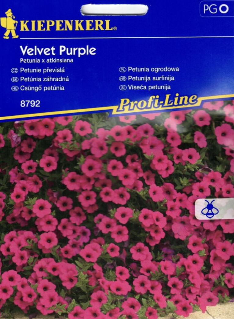 Petunia zwisająca Velvet Purple Kiepenkerl