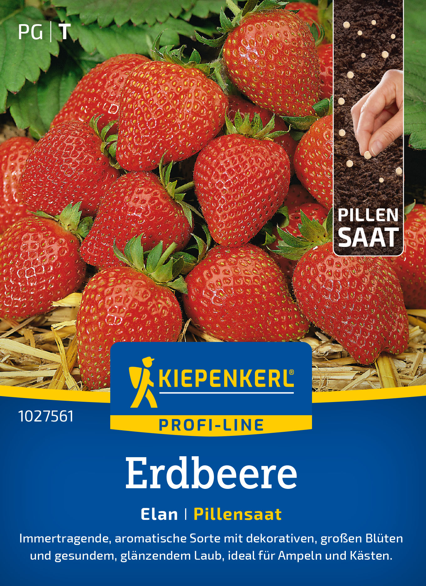 Truskawka "Elan" Kiepenkerl
