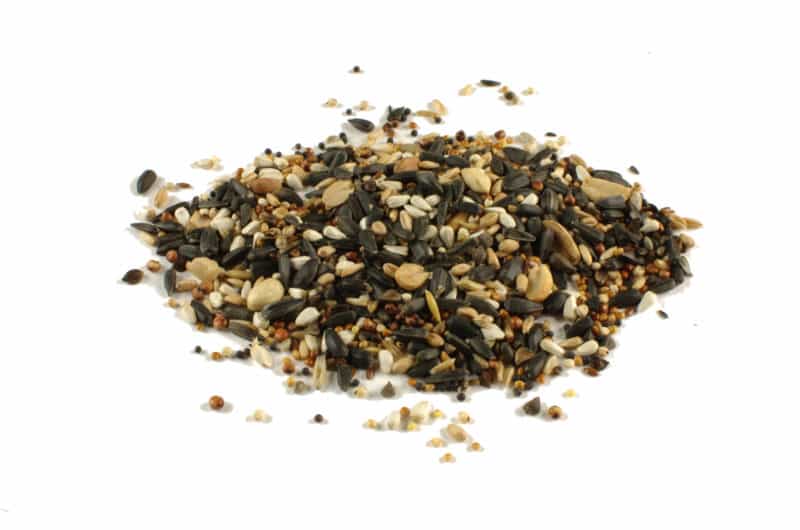 Karma dla ptaków 0,5kg